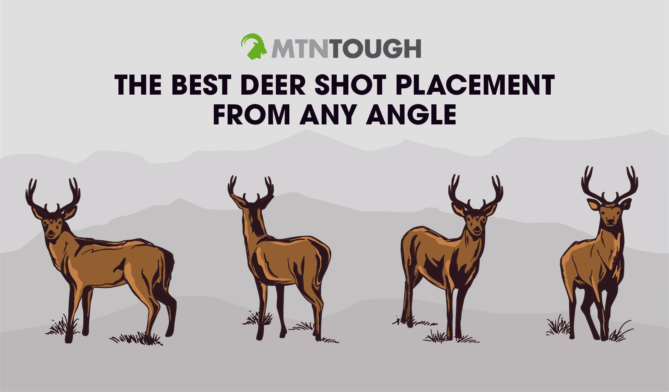 The Best Deer Shot Placement from Any Angle – MTNTOUGH