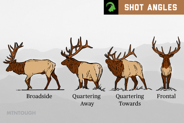 The Best Elk Shot Placement at Any Angle