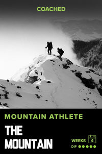 THE MOUNTAIN PROGRAM