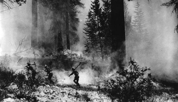 Into the Inferno: Surviving the 1910 Big Burn