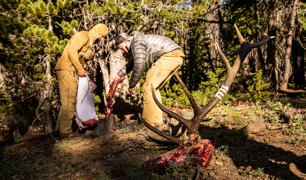 Elk Meat: The Perfect Protein for Backcountry Hunters